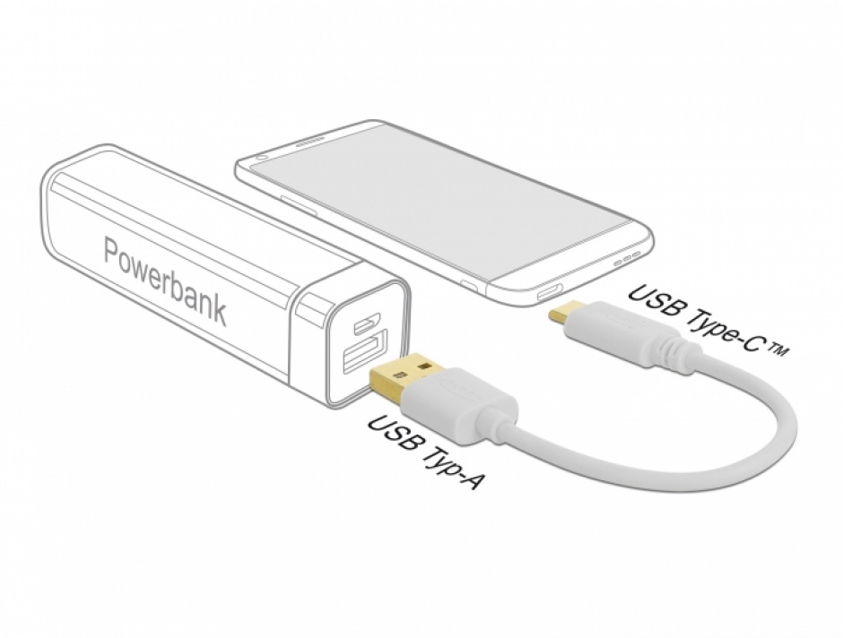Imagine Cablu de incarcare USB 2.0 la USB-C T-T 15cm Alb, Delock 85352